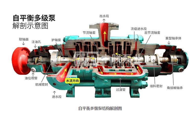 圖2? 葉輪對(duì)稱(chēng)排列的多級(jí)離心泵